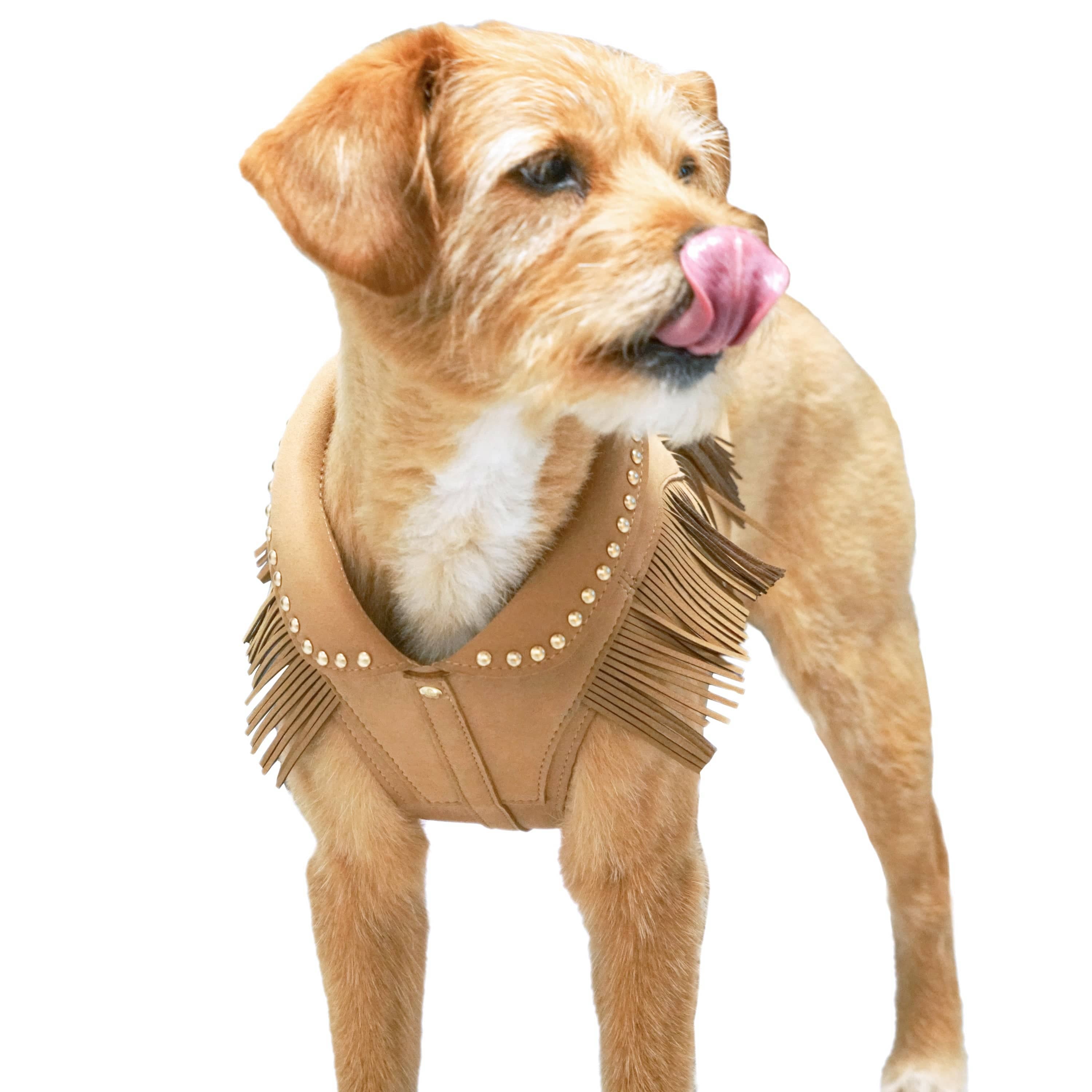 Western Fringe Dog Harness Jacket – Microfiber Suede with AG+ Freshness | Camel Tan