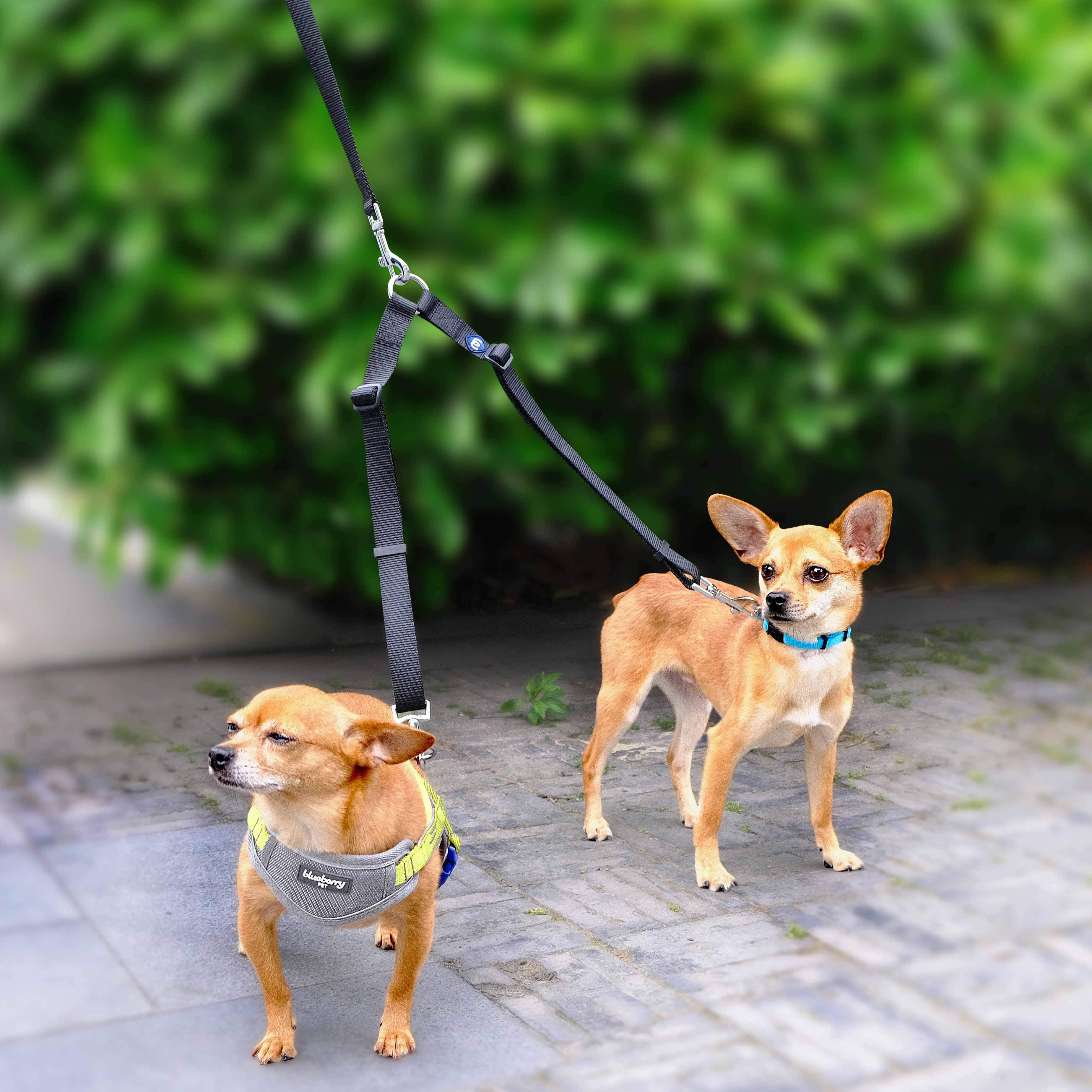 Blueberry Pet Double Dog Leash Coupler for Walking 2 Dogs – Military Green