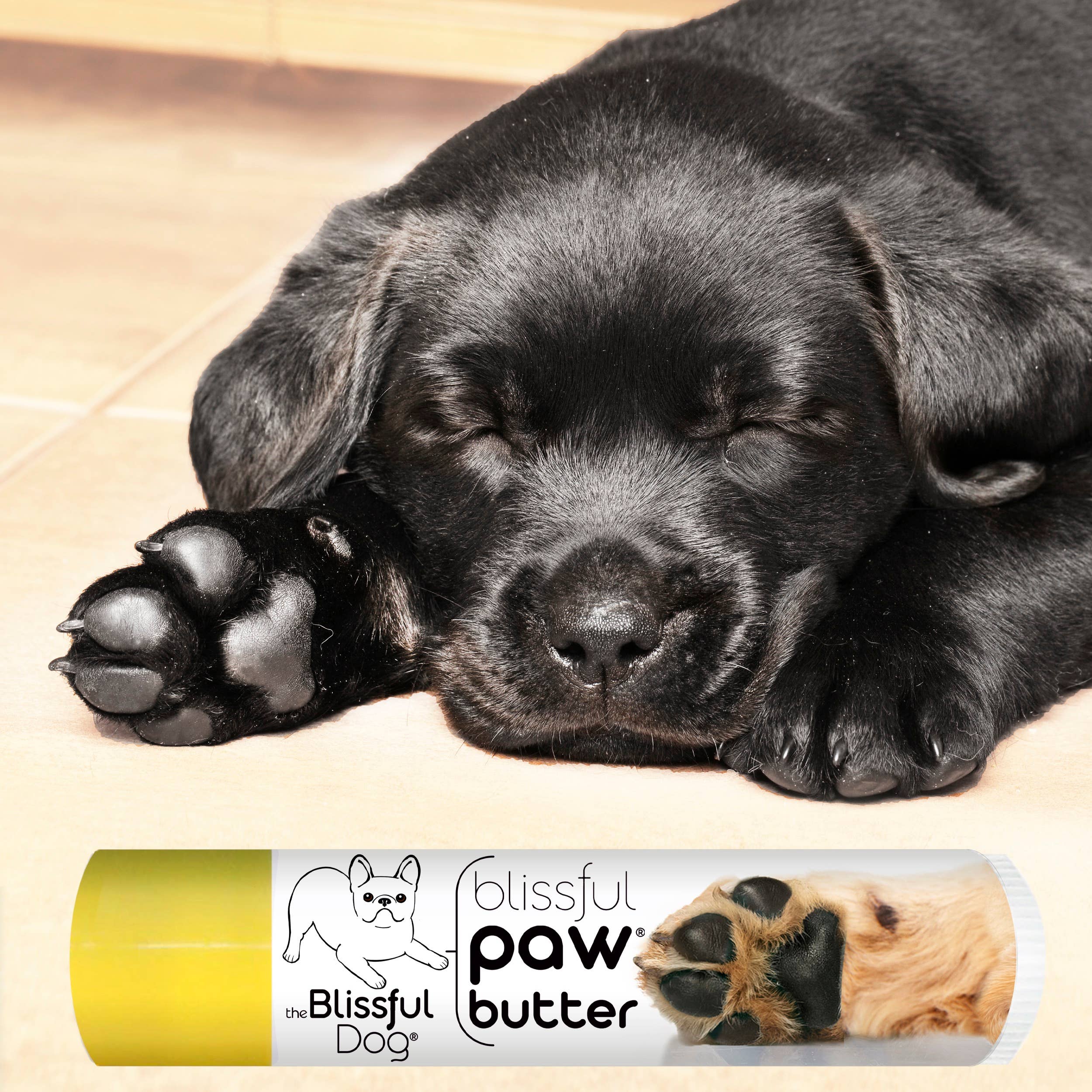 The Blissful Dog Paw Butter – Natural Moisturizer for Dry & Cracked Dog Paw Pads