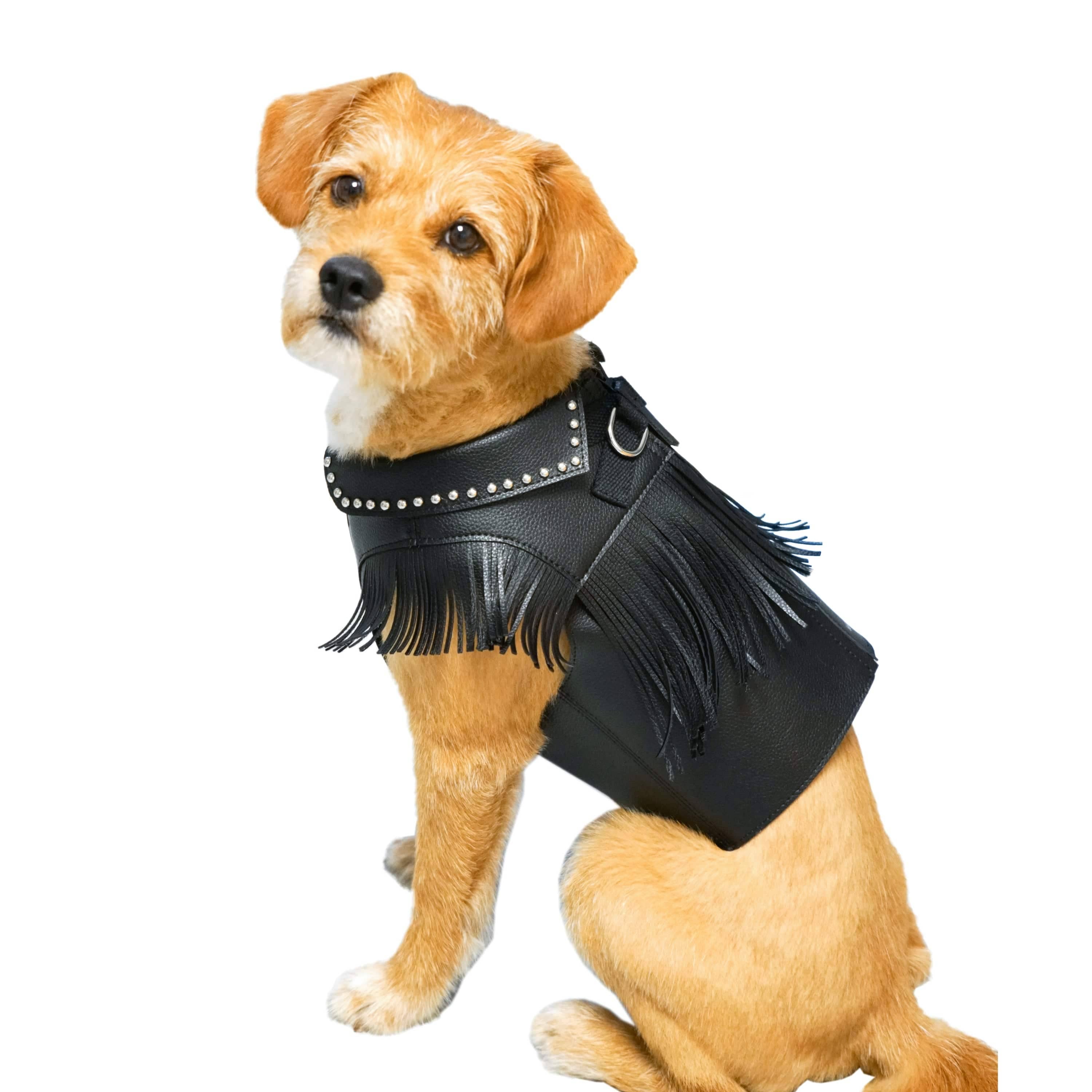 Western Fringe Dog Harness Jacket – Microfiber Suede with AG+ Freshness | Camel Tan