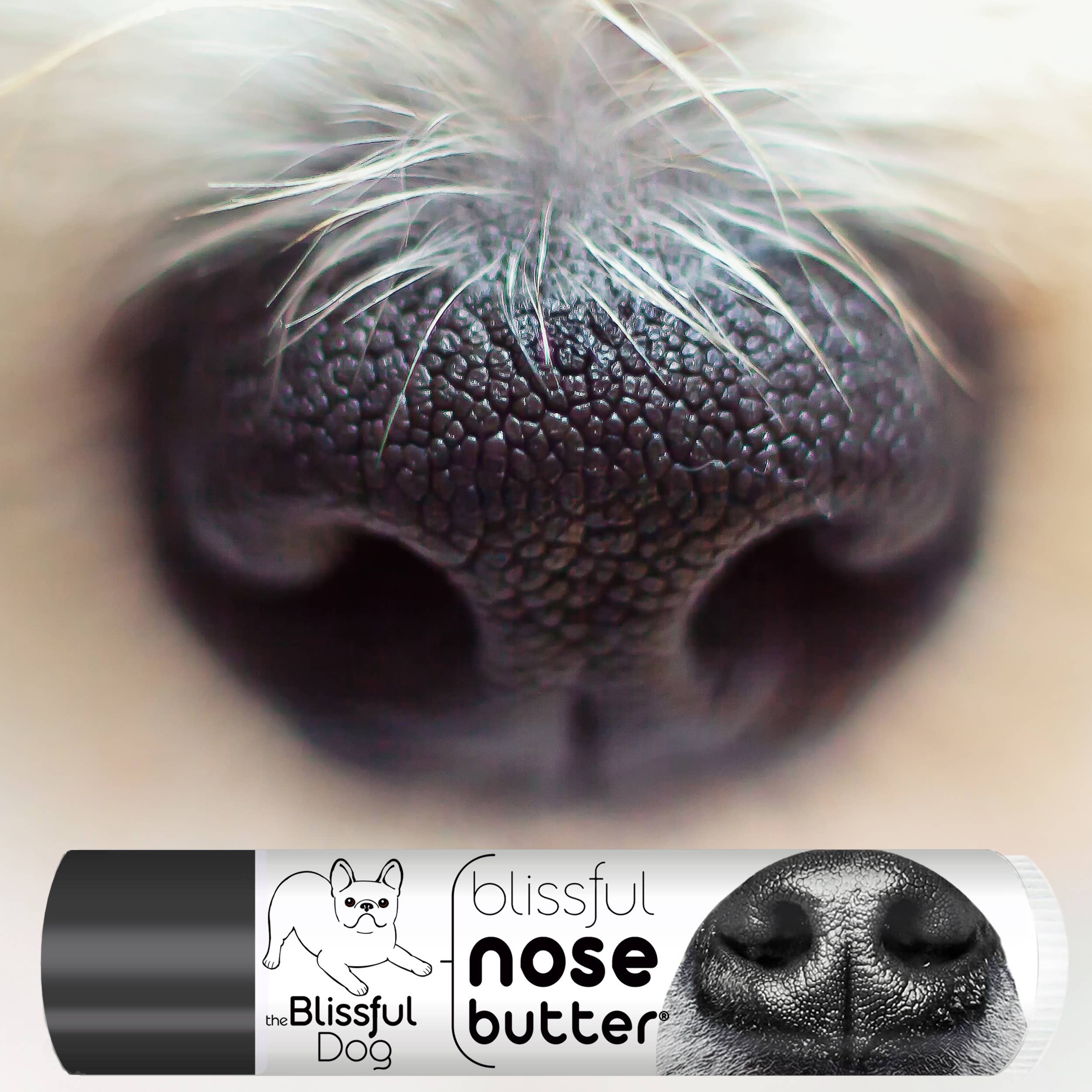 The Blissful Dog Nose Butter® – Natural Moisturizer for Dry, Cracked Dog Noses