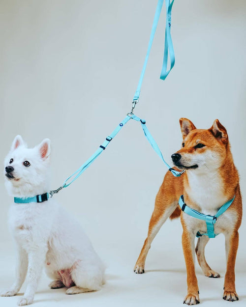 Blueberry Pet Double Dog Leash Coupler for Walking 2 Dogs – Military Green