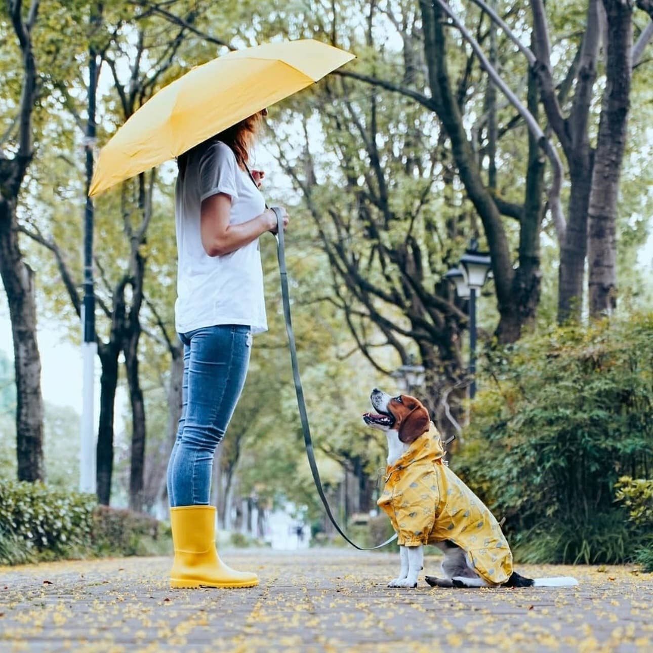 3 Colors, 2 Legs Reflective Dog Raincoat: Pink / 10"