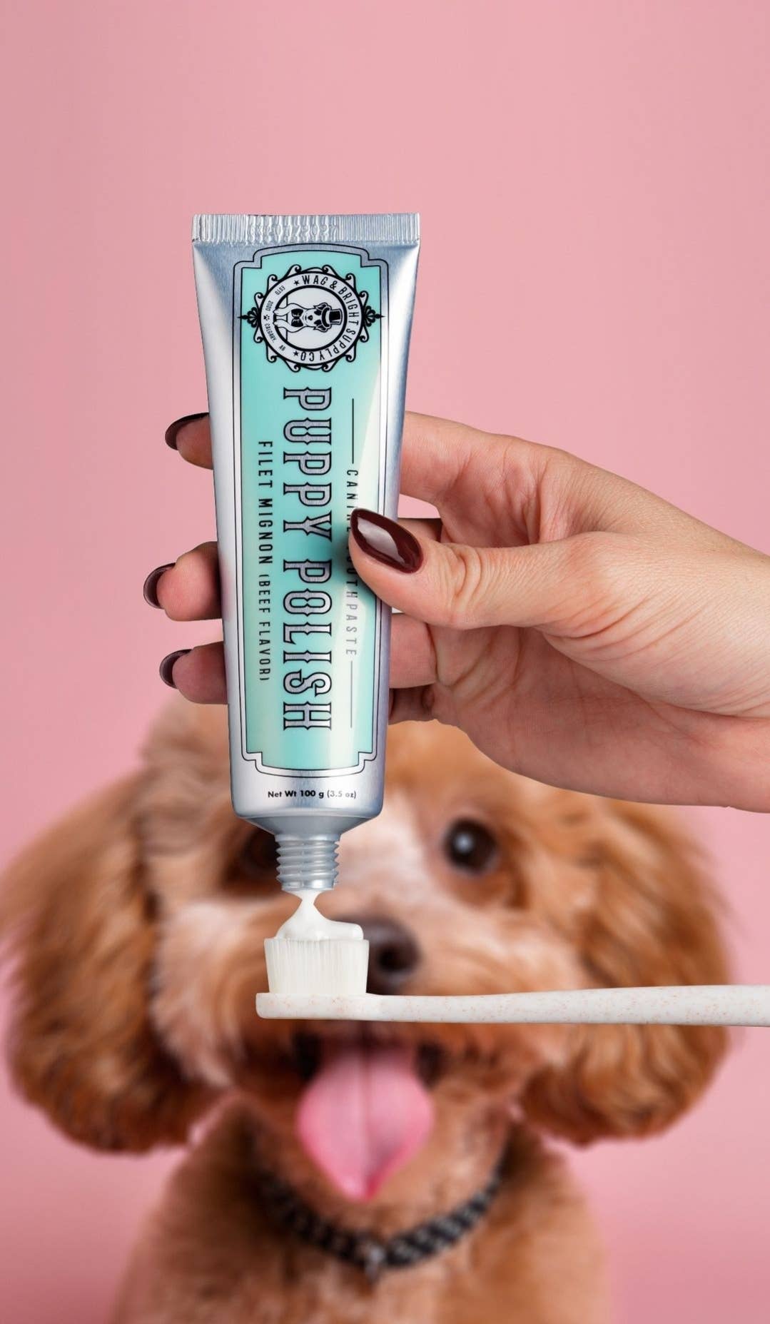 Puppy Polish Natural Dog Toothpaste – Filet Mignon (Beef) Flavor | 100g / 3.5oz