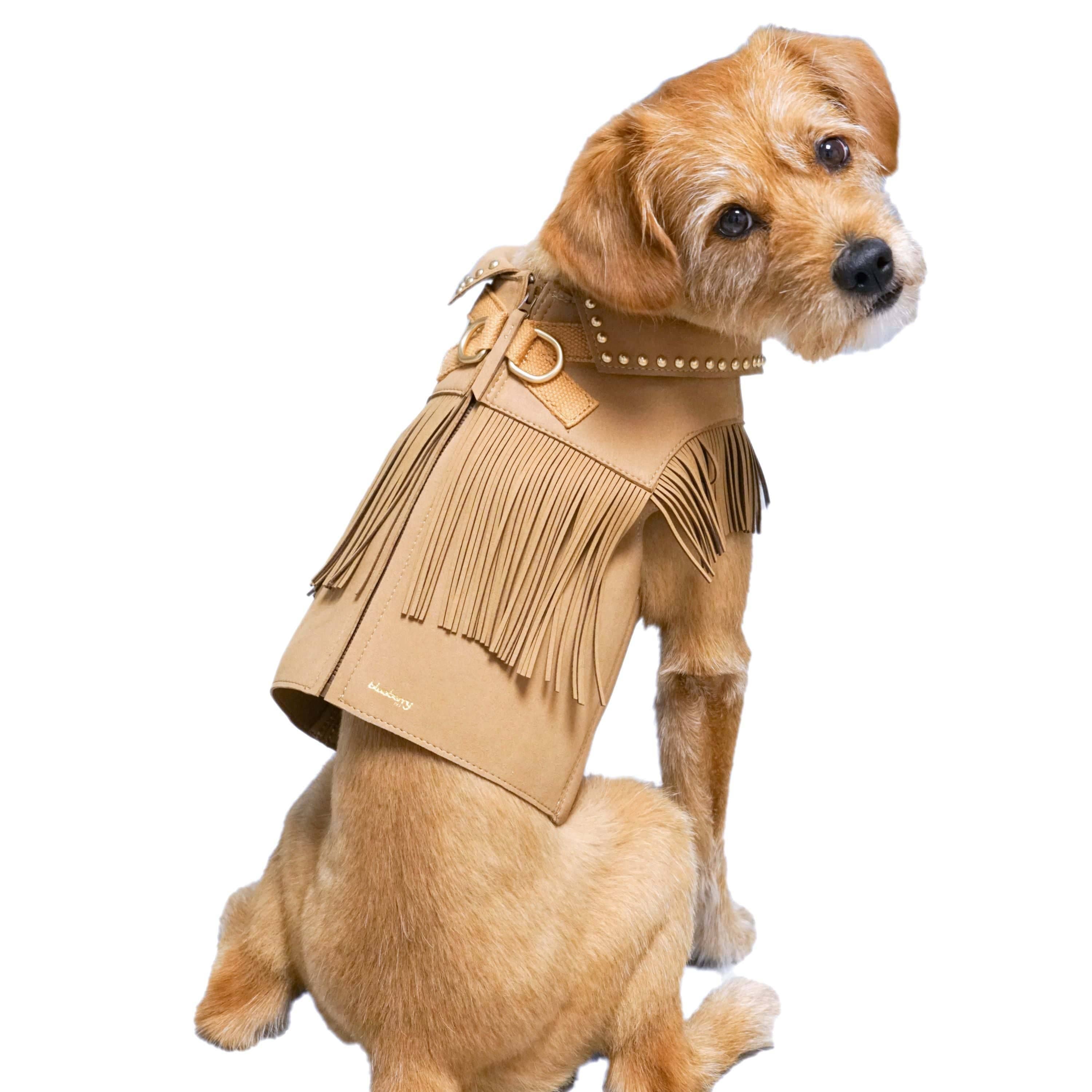 Western Fringe Dog Harness Jacket – Microfiber Suede with AG+ Freshness | Camel Tan