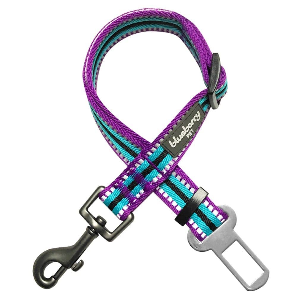 3M Reflective Safety Dog Seatbelt Tether – Multi-colored Stripes